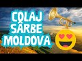 COLAJ SUPER SRBE MOLDOVENETI  SRBA LA TROMPET  MUZIC MOLDOVENEASC DE PETRECERE HIT NEW TOP