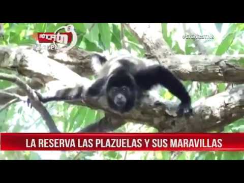 Reserva Las Plazuelas, un lugar especial para visitar en Nandaime - Nicaragua