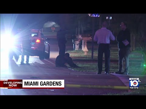 Police pursuit ends with crash, shooting in Miami-Dade