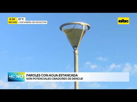 Costanera de Asunción: Faroles son potenciales criadores de mosquitos