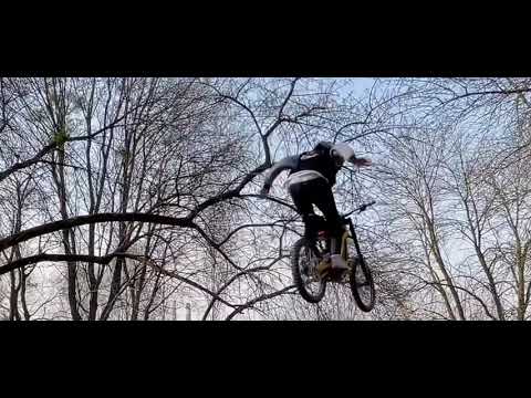 Nimo-Zart