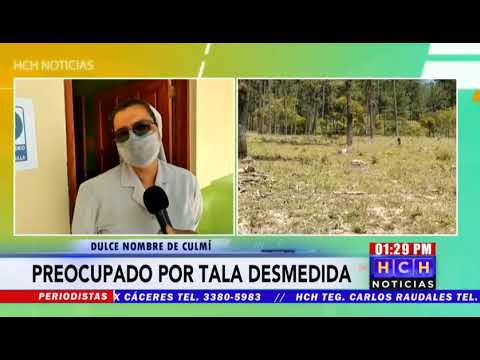 ¡Tala inmisericorde! Preocupados pobladores de Dulce Nombre de Culmí por deforestación “legal”