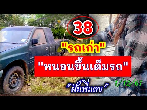 ด่วน38หนอนขึ้นเต็มรถรถคันเก