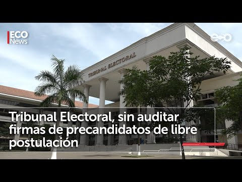 Tribunal Electoral, sin auditar firmas de precandidatos | #EcoNews