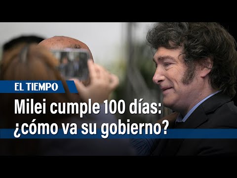 A 100 días del gobierno de Milei, ¿cómo va su experimento libertario en Argentina? | El Tiempo