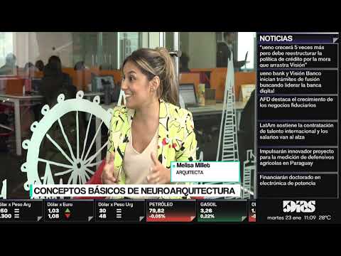 Melisa Millet  | CONCEPTOS BÁSICOS DE NEUROARQUITECTURA |REAL ESTATE | 5díasTV