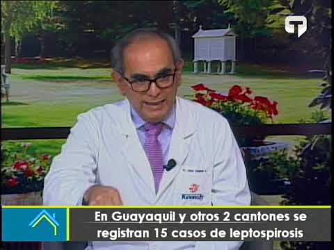 En Guayaquil y otros 2 cantones se registran 15 casos de leptospirosis