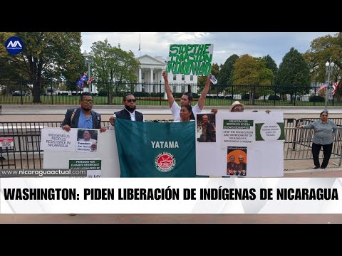 Protestan en Washington DC. por la libertad de Indígenas en Nicaragua