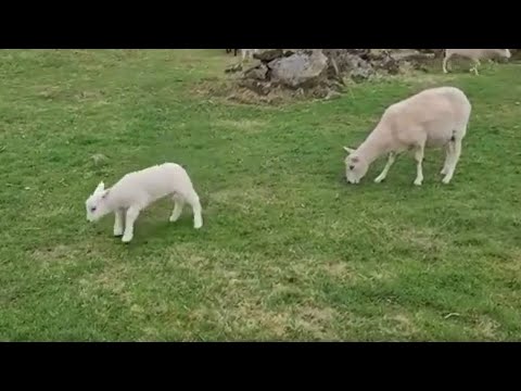 YouTube video thumbnail