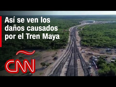Estos son los daños que ha causado el Tren Maya, según ambientalistas