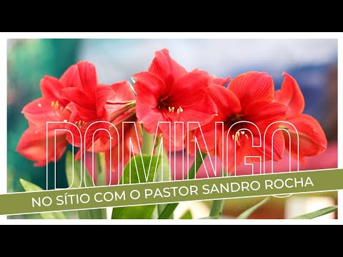 DOMINGO NO SÍTIO COM O PASTOR SANDRO ROCHA