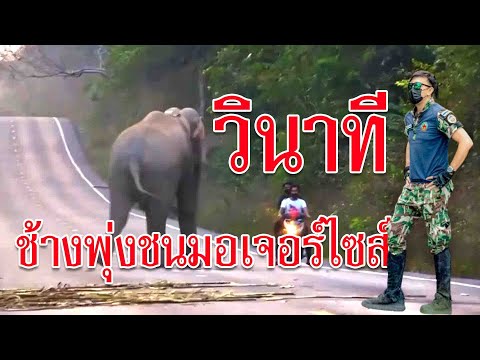 วินาทีชีวิต-หมอล็อตนำทีม-ช่วยเ วินาทีชีวิต-หมอล็อตนำทีม-ช่วยเ