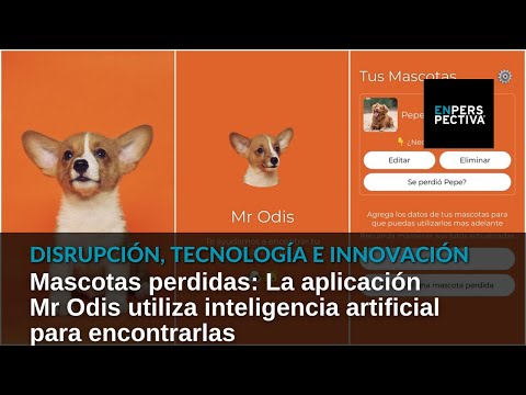 Mascotas perdidas: La aplicación Mr Odis utiliza inteligencia artificial para encontrarlas