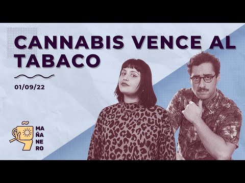 CANNABIS VENCE AL TABACO / MAÑANERO EL MATINAL