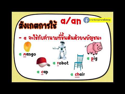 ภาษาอังกฤษป.1การใช้AAnEp.