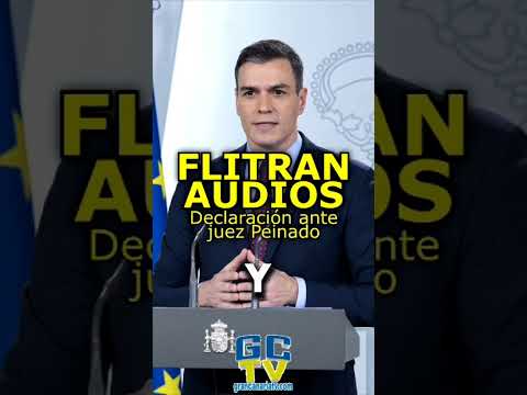 Filtran audios de Pedro Sánchez en declaración ante el juez Peinado #pp #psoe #pp #vox #sumar