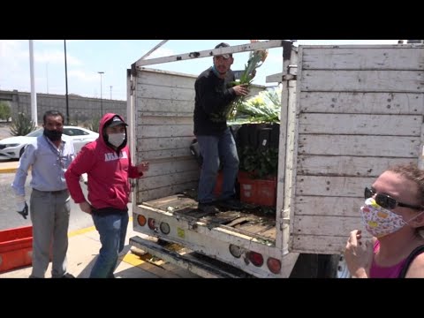 Vendedores de flores del Estado de México cambian su mercancía por despensas.