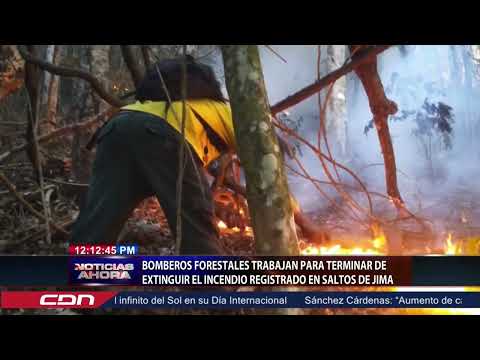 Bomberos forestales trabajan para terminar de extinguir el incendio en Saltos de Jima