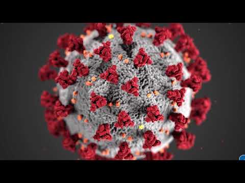 Coronavirus: ¿Qué es una pandemia