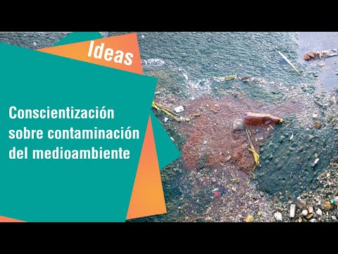 Proyecto para conscientizar sobre la contaminación en aguas | Ideas