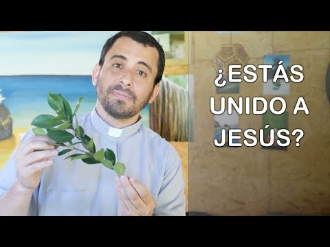 ¿Estás unido a Jesús? - Homilía del Domingo 5b de Pascua