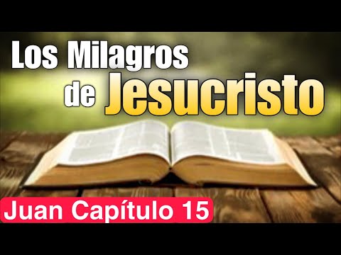 Los Milagros de Jesús  Juan 15