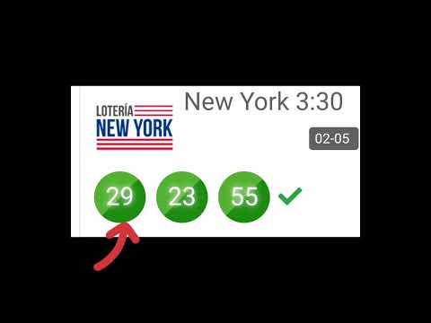 bingo 29 new york entregado gratis en facebook