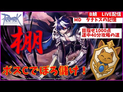 【RO】それでも、倒したい棚があるんだーRO２年生【ラグナロクオンライン】