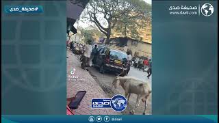 يدور مشاكل مع الرايح والجاي