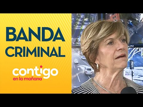 ALERTA en Providencia por banda criminal El Enjambre - Contigo en la Mañana
