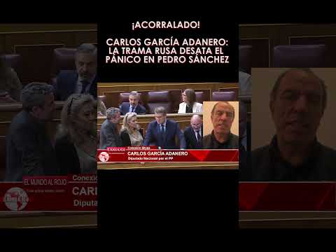 ACORRALADO CARLOS GARCÍA ADANERO, LA TRAMA RUSA DESATA EN PÁNICO EN PEDRO SÁNCHEZ