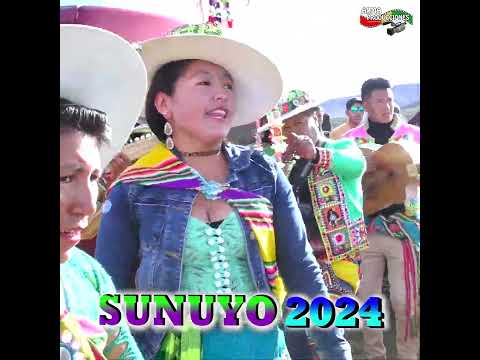 Carnaval de SUNUYO 2024 Entrada de QHONQOTAS, Pre-ingreso.#shorts  #musica #tradicional