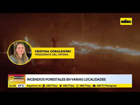 Incendios forestales en varias localidades del país