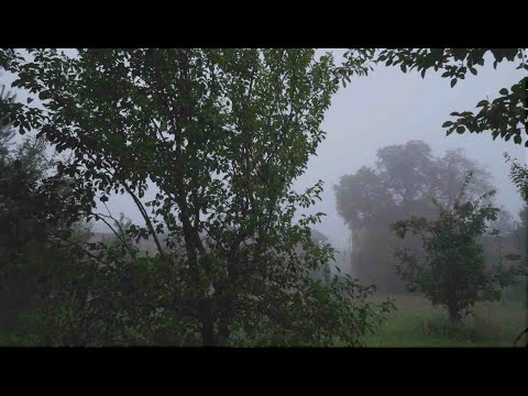 Vom ersten Herbststurm bis in den tiefen Winter.