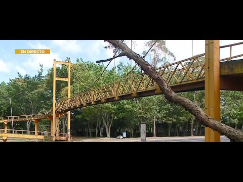 Lanamme advirtió desde mayo del 2022 estado del puente peatonal en el parque de la paz