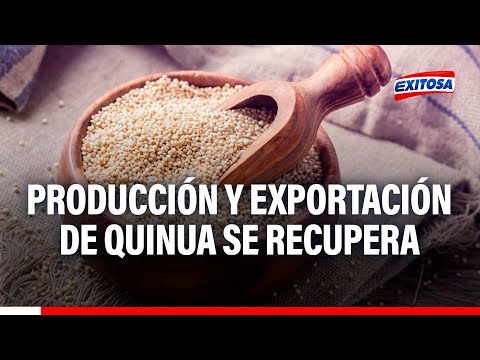 Fernando Cillóniz: La producción y exportación de quinua se recupera este 2024
