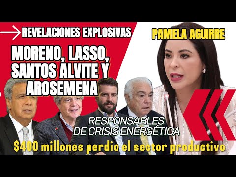 Pamela Aguirre:Ecuador habría perdido400 millones por decisiones de Moreno,Lasso, Santos y Arosemena