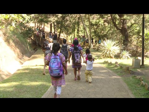 Indígenas invadieron el cerro Pan de Azúcar - Teleantioquia Noticias