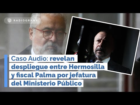 Revelan despliegue entre Hermosilla y fiscal Palma por jefatura del Ministerio Público