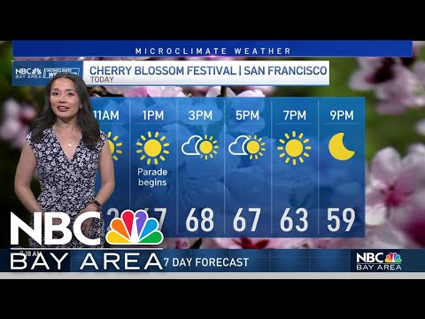 Cinthia's forecast: Sunny and Warm, changes Ahead