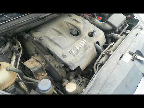 Peugeot 307 2002 m dalys