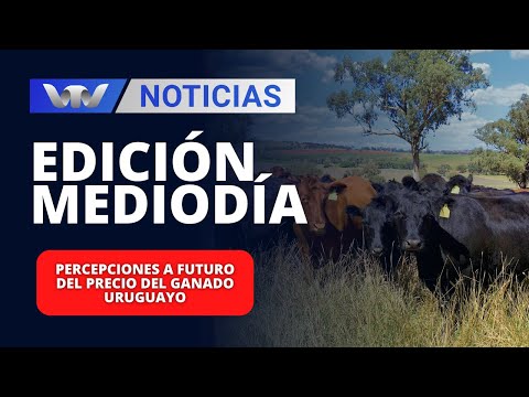 Edición Mediodía 19/04 | Percepciones a futuro del precio del ganado uruguayo
