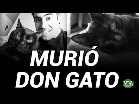 AURON confirmó que MURIÓ DON GATO