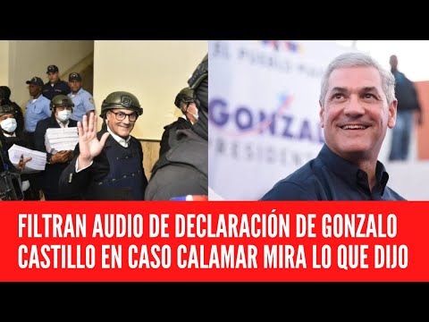 FILTRAN AUDIO DE DECLARACIÓN DE GONZALO CASTILLO EN CASO CALAMAR MIRA LO QUE DIJO