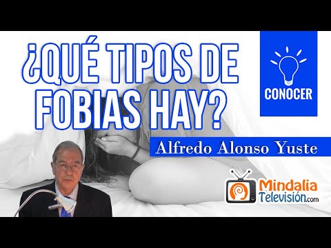 ¿Qué tipos de fobias hay?, por Alfredo Alonso Yuste