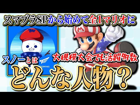 【スマブラSP】ウメブラ3位！スノー『マリオ』の強さの秘訣に迫る！【スマブラ スイッチ】