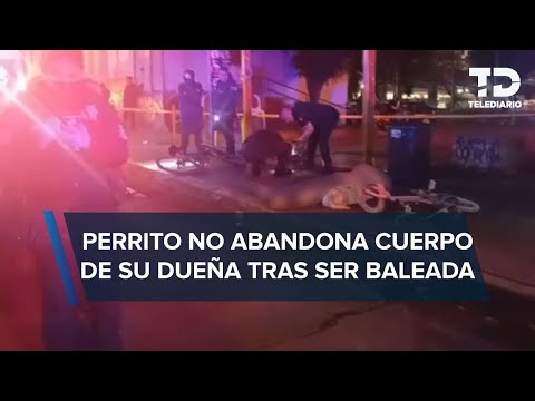 Asesinan a balazos a mujer limpiaparabrisas en Coacalco, Edomex; perrito se queda a su lado