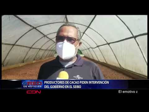 Productores de cacao piden intervención del Gobierno en El Seibo