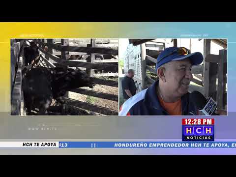 ¡9 meses sin pago! Además de #Iota y #Eta, ganaderos denuncian daños por «Huracán Asterio»