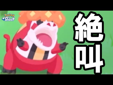 パルデア御三家いらんてえええええ！！！！【ポケモンスリープ】